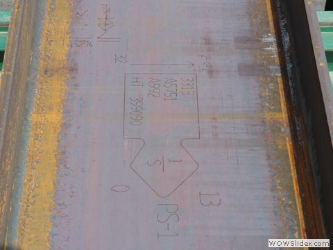 Laser Scribed Information Laser Scribed Information